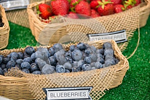 Baskets of Blueberries and Strawberries on Display