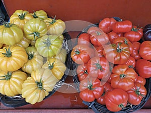 Baskets with coeur de boeuf tomatoes in yellow and red