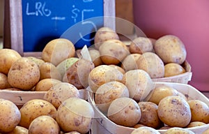 Baskets of farm resh potatoes for sale