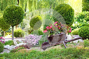 Baskets of flowers on a small cart on a sunny day in the spring