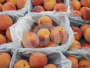 Baskets of fresh juicy peaches ripe and ready to eat for sale at the market