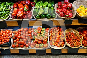 Baskets of fresh organic vegetables