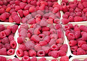 Baskets of Fresh Ripe Raspberries at the Market