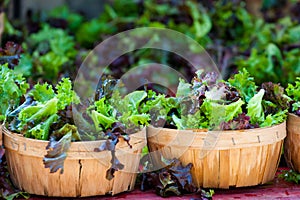 Baskets of fresh salad in farmer market