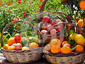 Baskets Of Fruit In Crete Greece