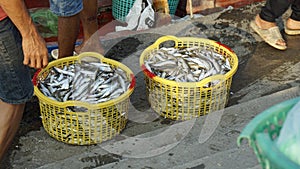 baskets full of fish at phu quoc harbor