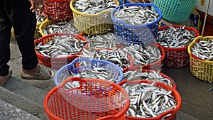 baskets full of fish at phu quoc harbor
