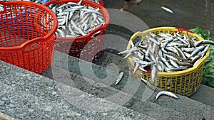 baskets full of fish at phu quoc harbor