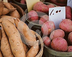 Baskets full of potatoes