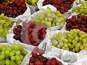 Baskets of grapes