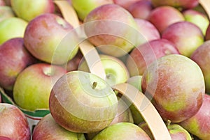 Baskets of Macintosh Apples photo