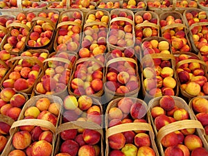 Baskets of peaches