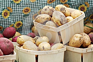 Baskets of Potatoes