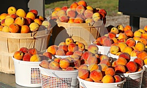 Peaches, Ripe at the Market in Full Baskets