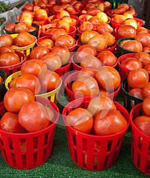 Baskets of Ripe Tomatoes