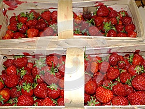 Baskets of strawberries