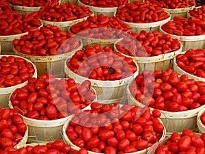 Baskets of tomatoes