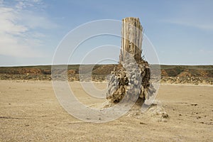 Baskunchak lake in summer photo