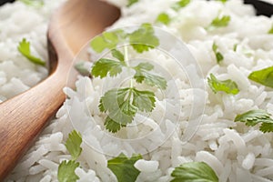 Basmati Rice and Coriander with Spoon Close-up