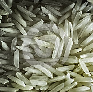 Basmati Rice Grains Macro