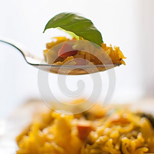 Basmati rice with vegetables and chicken