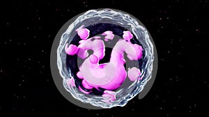 A basophil