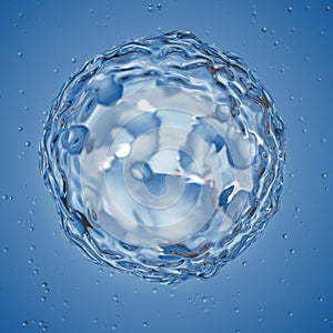 A basophil