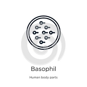 Basophil icon. Thin linear basophil outline icon isolated on white background from human body parts collection. Line vector