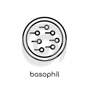 Basophil icon. Trendy modern flat linear vector Basophil icon on photo