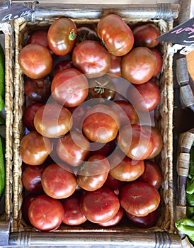 A basquet of ecological tomatoes photo