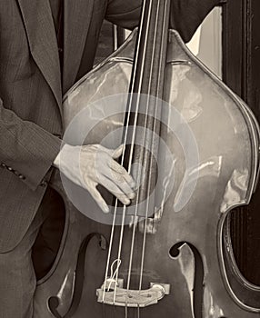 Bass Fiddle