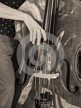 Bass Fiddle Strumming