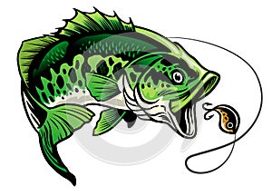 Bass fish catching the fishing lure