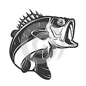 bass fish icons isolated on white background. Design element fo