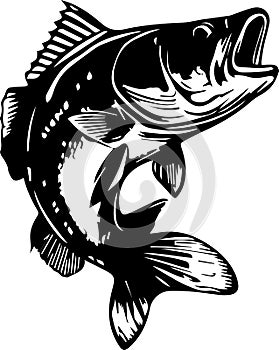Bass Fish Monochrome Logo Design