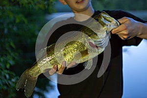 Bass Fishing Catch