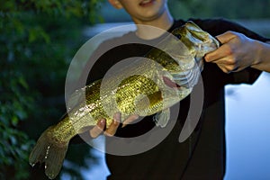 Bass Fishing Catch photo