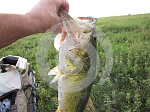 Bass fishing in the Flinthills of Kansas