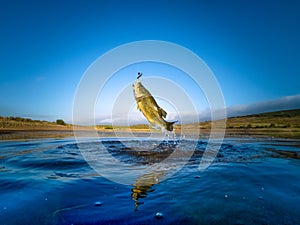 Bass Fishing on lake