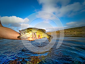 Bass Fishing on lake