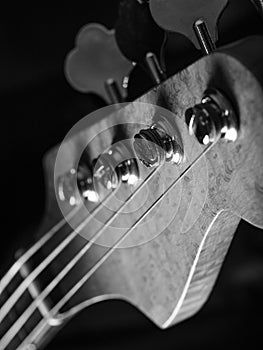 Bass guitar headstock closeup
