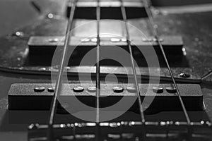 Bass Guitar Pickups
