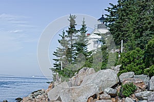 Bass Harbor lighthouse. and summertime, green trees