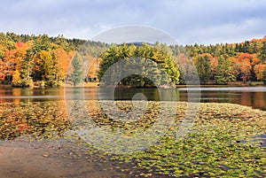 Bass Lake in Autumn North Carolina