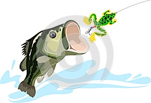 Bass and lure