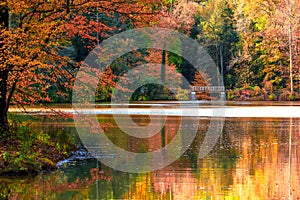 Bass Pond In Autumn