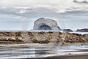 Bass Rock in The Firth of Forth