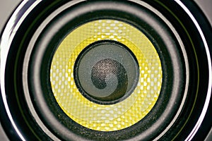 Bass Speaker