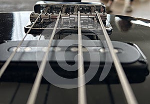 Bass strings close up