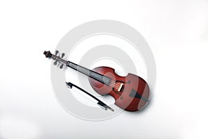 Bass-viol isolated on white background